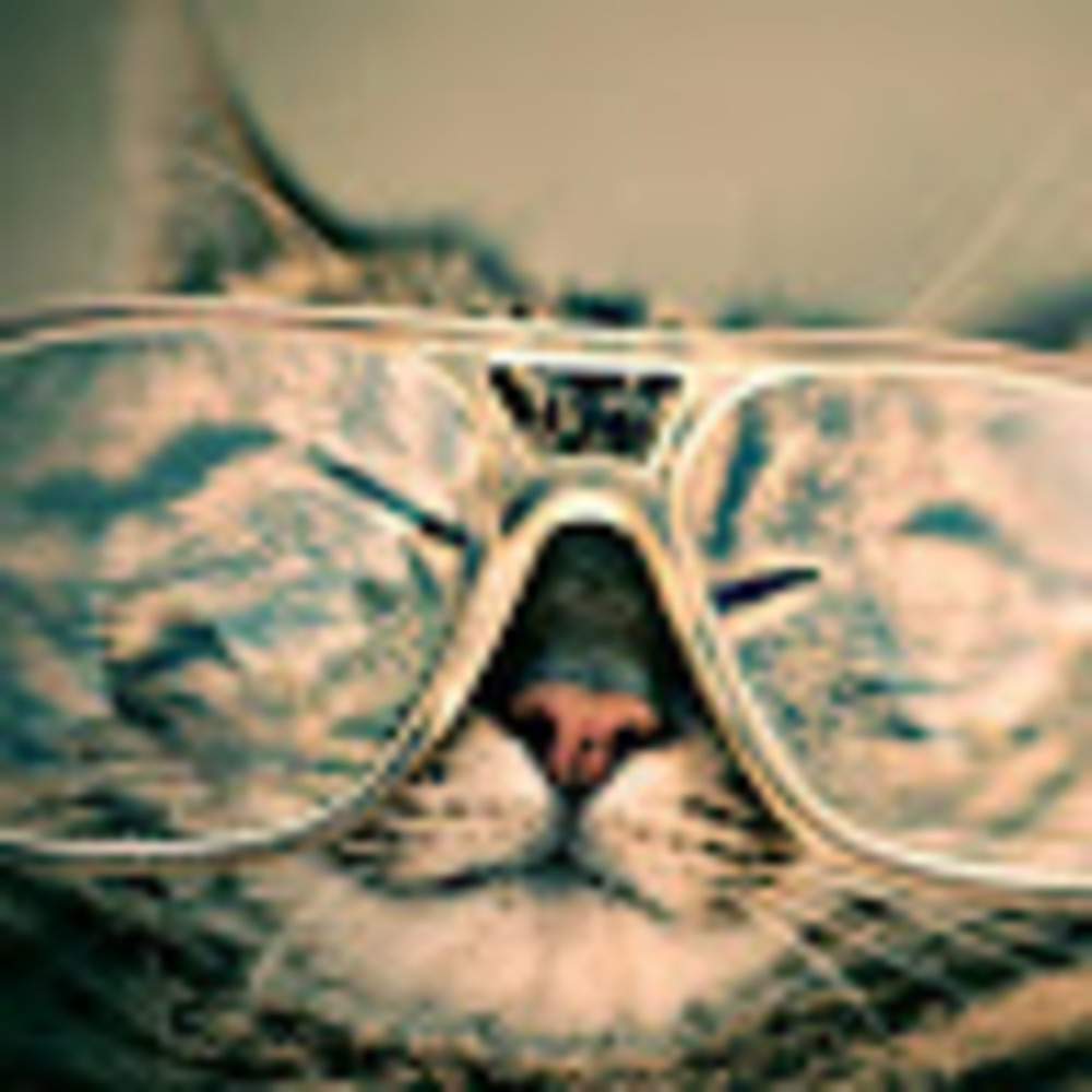 Meet your Posher, Chev